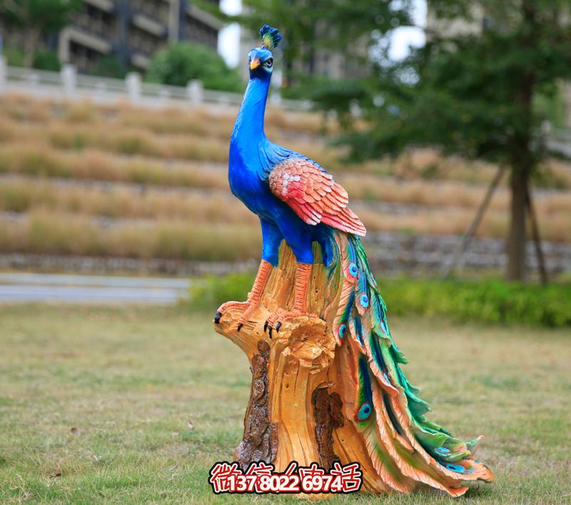 彩繪孔雀玻璃鋼雕塑，為公園街道擺放添彩